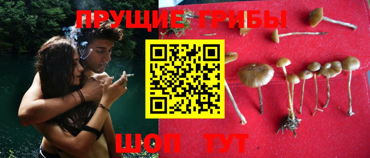 Галлюциногенные грибы мицелий  Вход с VPN  Нижний Тагил 