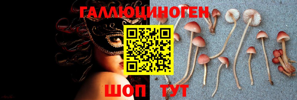 Галлюциногенные грибы прущие грибы Нижний Тагил